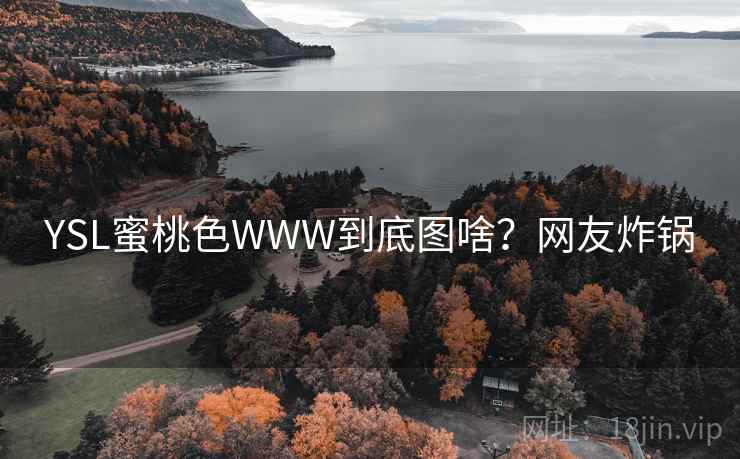 YSL蜜桃色WWW到底图啥?网友炸锅 YSL蜜桃色WWW到底图啥?网友炸锅