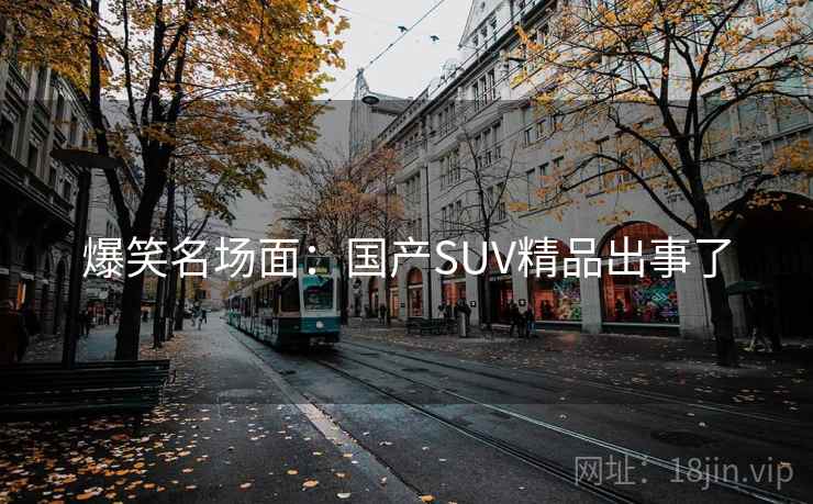 爆笑名场面：国产SUV精品出事了