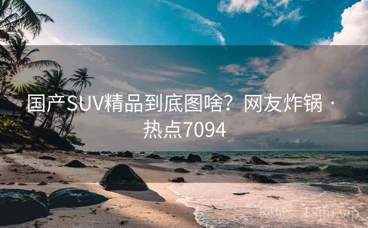 国产SUV精品到底图啥？网友炸锅 · 热点7094