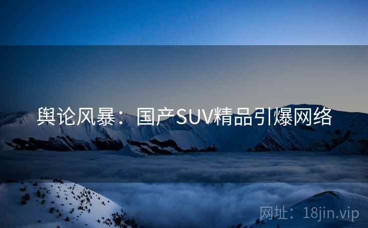 舆论风暴:国产SUV精品引爆网络 舆论风暴:国产SUV精品引爆网络